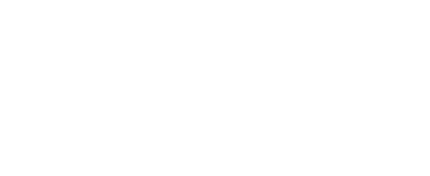 PeopleSense